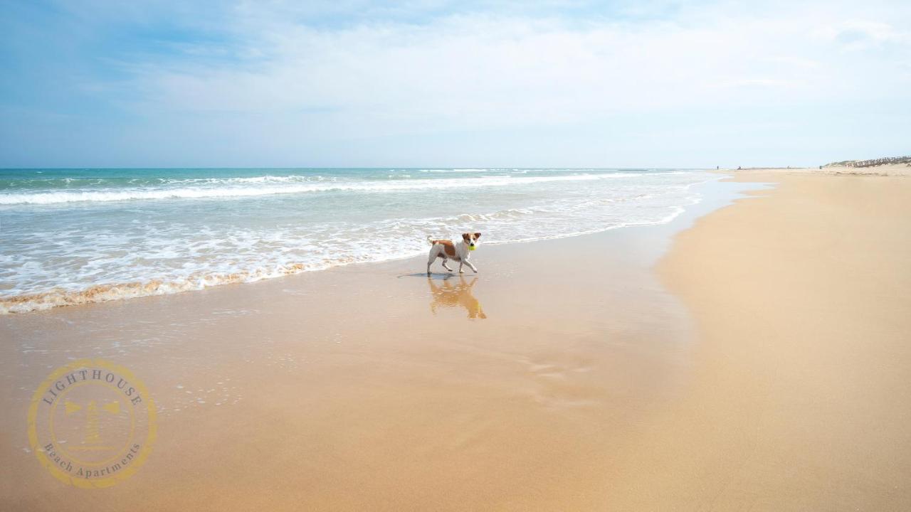 Lighthouse Parquemar Apartment La Mata  Ngoại thất bức ảnh